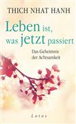 THICH NHAT NANH-LEBEN IST WAS JETZT PASS