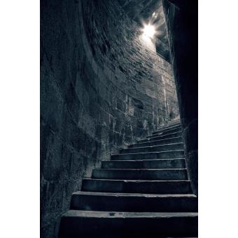 The Secret Inside - 1