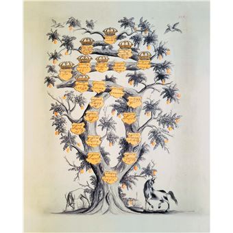 Créer mon arbre généalogique