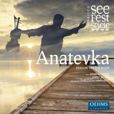 Anatevka - un violon sur le toit