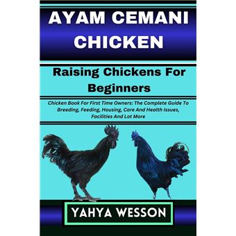 AYAM CEMANI CHICKEN Raising Chickens For Beginners Chicken Book