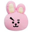 Coussin BTS Cooky