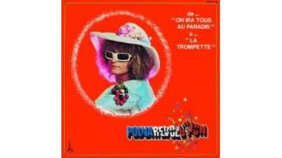 Polnarevolution (Vinyl)