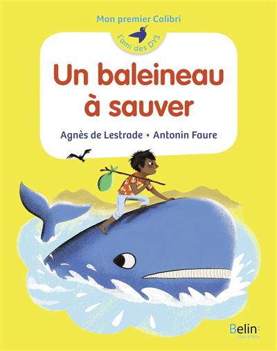 Un baleineau a sauver mon premier colibri