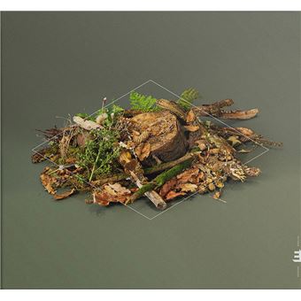 Fergus McCreadie - 1