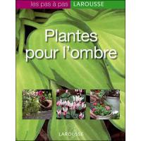 Plantes pour l'ombre