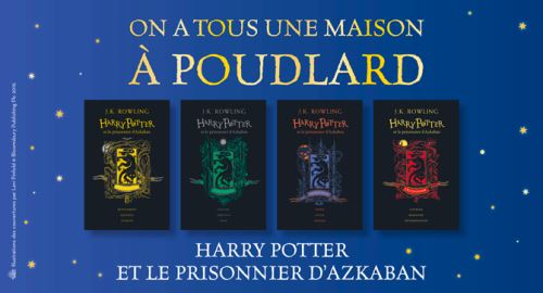 Harry Potter - Serpentard Tome 1 - Harry Potter à l'école des sorciers -  J.K. Rowling, Jean-François Ménard, Levi Pinfold - cartonné, Livre tous les  livres à la Fnac