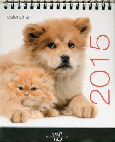 Calendrier De Table Chats Et Chiens 15 Calendrier De Table Broche Collectif Achat Livre Fnac