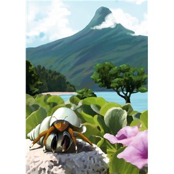 Rêves de Mayotte