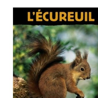 L'écureuil - 1
