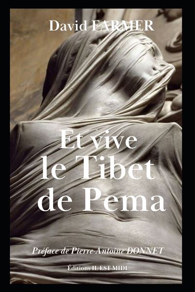 Et Vive Le Tibet De Pema Broché David Farmer Pierre Antoine Donnet Achat Livre Fnac 7223