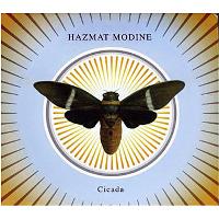 Cicada