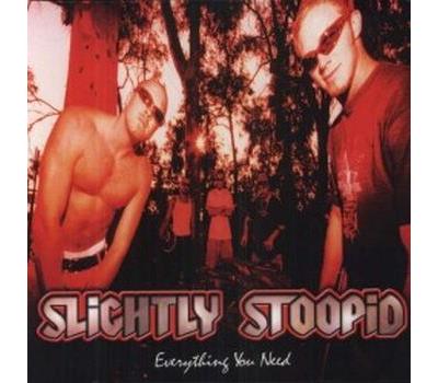EVERYTHING YOU NEED/LP