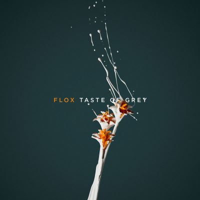 Taste of grey/vinyle couleur