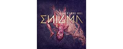 Fall of a rebel angel/ed deluxe