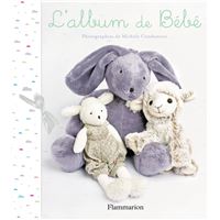L'album de bebe (ne 2013)