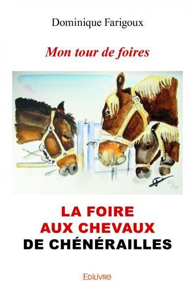 Mon tour de foires