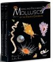 Marine and freshwater mollucs of the French Carribean