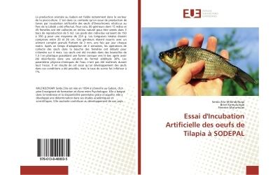 Essai d'Incubation Artificielle des oeufs de Tilapia A SODePAL