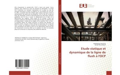 Etude statique et dynamique de la ligne de flush a l'ocp