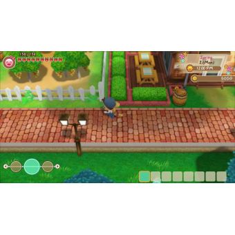 Story of Seasons Friends of Mineral Town Nintendo Switch