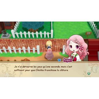 Story of Seasons Friends of Mineral Town Nintendo Switch