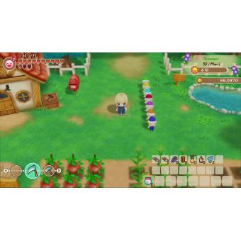 Story of Seasons Friends of Mineral Town Nintendo Switch