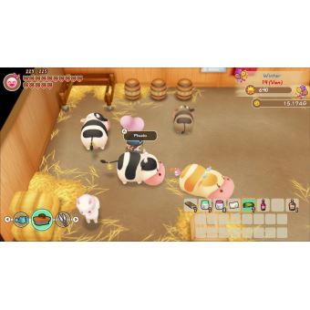 Story of Seasons Friends of Mineral Town Nintendo Switch