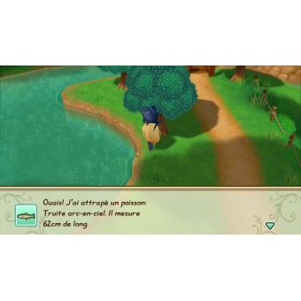 Story of Seasons Friends of Mineral Town Nintendo Switch