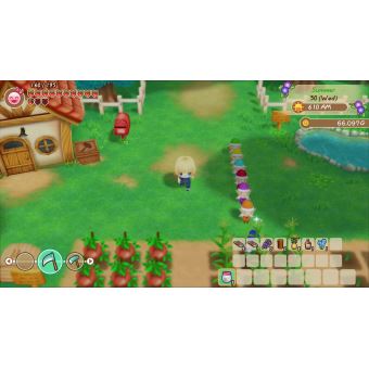 Story of Seasons Friends of Mineral Town Nintendo Switch