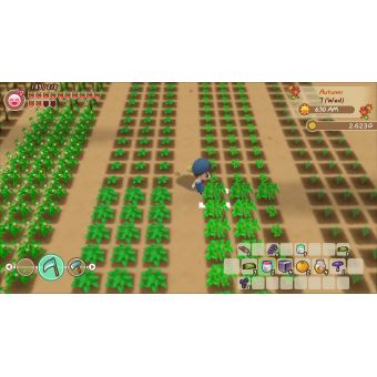 Story of Seasons Friends of Mineral Town Nintendo Switch