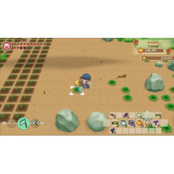 Story of Seasons Friends of Mineral Town Nintendo Switch