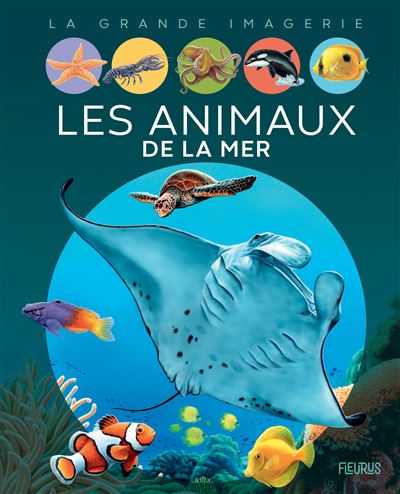 Les animaux de la mer - Emilie Beaumont - cartonné