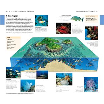 Guide Voir Guadeloupe