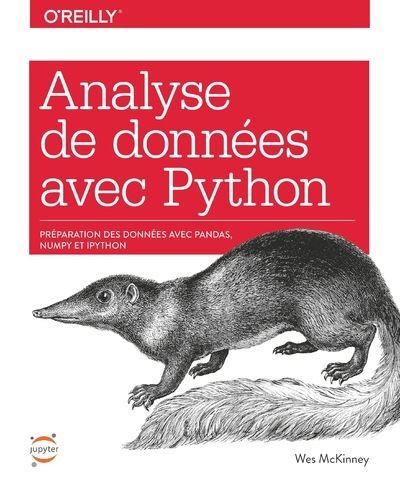 Analyse de données avec Python - Préparation des données avec Pandas, Numpy et Ipython - Wes McKinney - broché