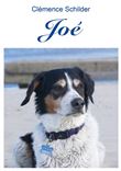 Joé