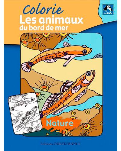 Colorie les animaux du bord de mer - collectif LPO - broché