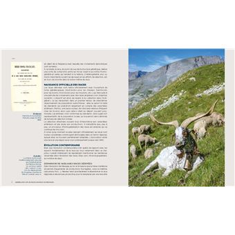 Les  Races d'animaux domestiques en France