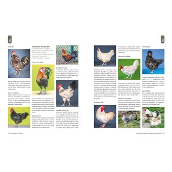 Les  Races d'animaux domestiques en France