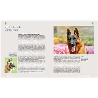 Les  Races d'animaux domestiques en France