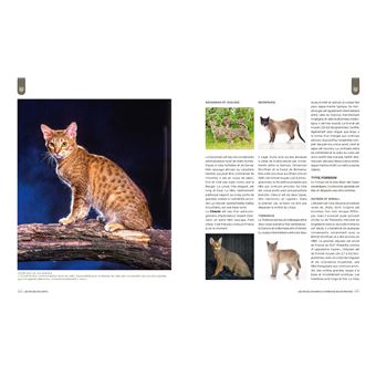 Les  Races d'animaux domestiques en France