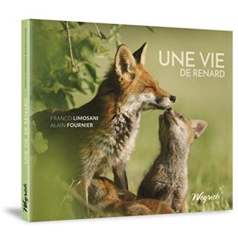 Une vie de renard