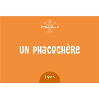 Jeu d'apéro - Mime-le si tu peux 2 - Le jeu