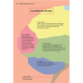 Cerveau, un incroyable atout !