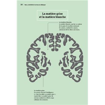 Cerveau, un incroyable atout !