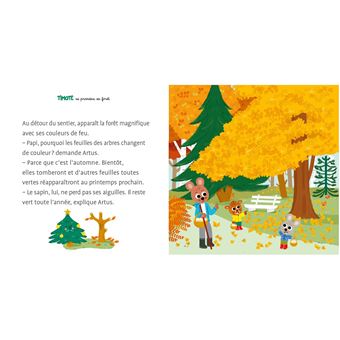 Timoté se promène en forêt (Écoute aussi l'histoire)