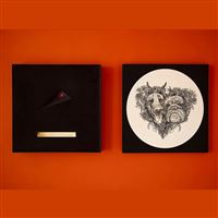 Hounds Of Love / Lost At Sea Box A