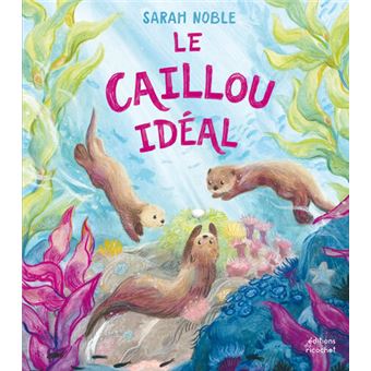 Les canoes - le caillou idéal