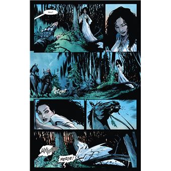 The Witcher (comics), T1 : Un grain de vérité