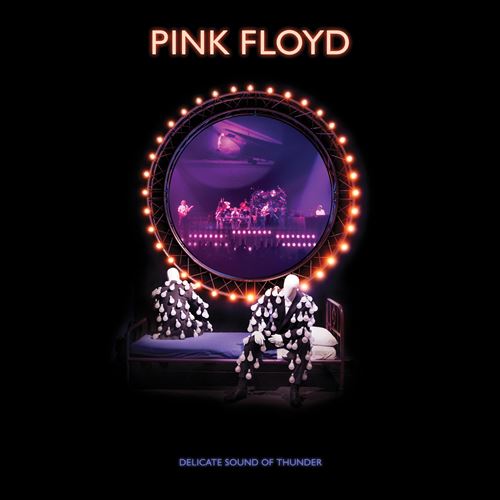 Delicate Sound Of Thunder Edition Deluxe Limitée - Pink Floyd - CD album -  Achat & prix | fnac